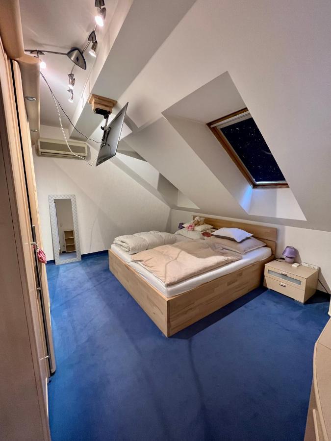 Atemberaubendes Loft Mit Pool Apartment Виена Екстериор снимка